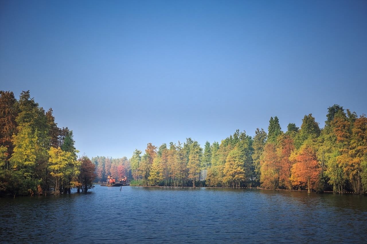 Parco delle Zone Umide del Lago Sud di Suzhou in Cina + Parco Divertimenti Dongwu + Attività per Famiglie (servizio in inglese disponibile su richiesta)