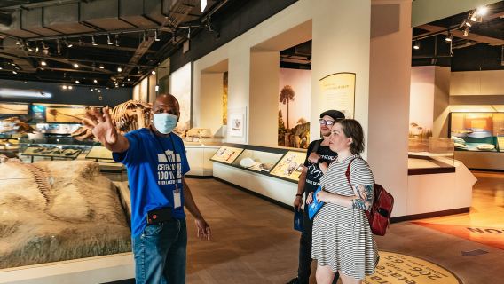 Chicago: Vé vào Bảo tàng Lịch sử Tự nhiên Field hoặc Tour VIP