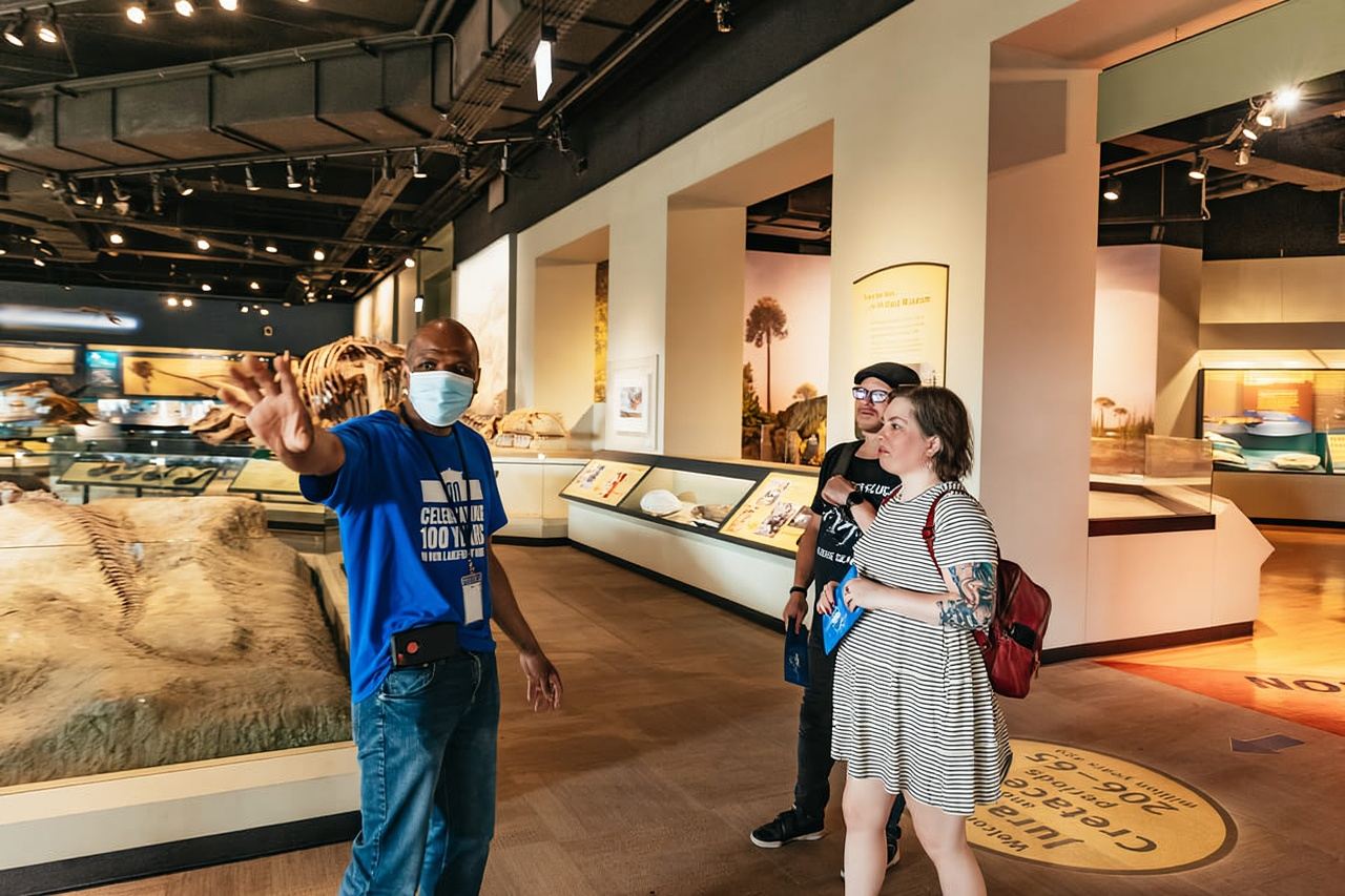 Chicago: Field Museum of Natural History Ticket or VIP Tour