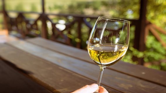 Table Mountain & Constantia Wine Tasting Full Day Tour