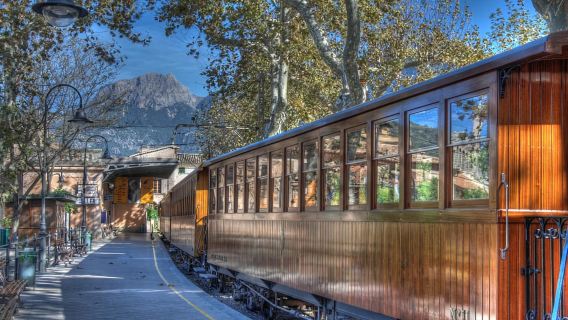 Palma: Fahrt mit dem historischen Zug durch das Orangental und Orangenplantagen-Tour