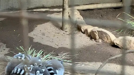 ทัวร์ชิมไวน์และชมนกโลกของพิพิธภัณฑ์สัตว์น้ำ Two Oceans