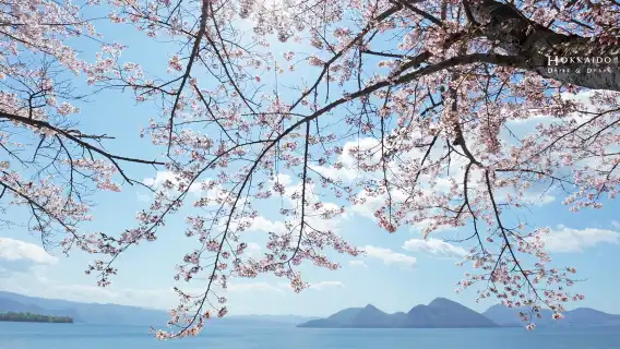 노보리베쓰 지옥계곡 + 도야호 + 오타루 일일 투어, 도야호 팔경, 오타루 운하