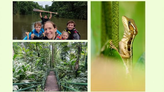 Package of 3 excursions in Tortuguero (Canoa, viewpoint, hike)