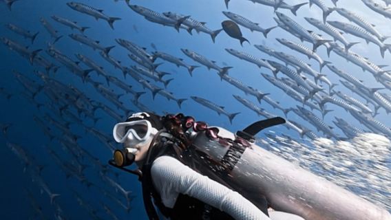 馬來西亞仙本那琥珀假期潛水中心潛水考證水肺OW考證/AOW考證2天【潛水考證+小班教學+多潛點可選】