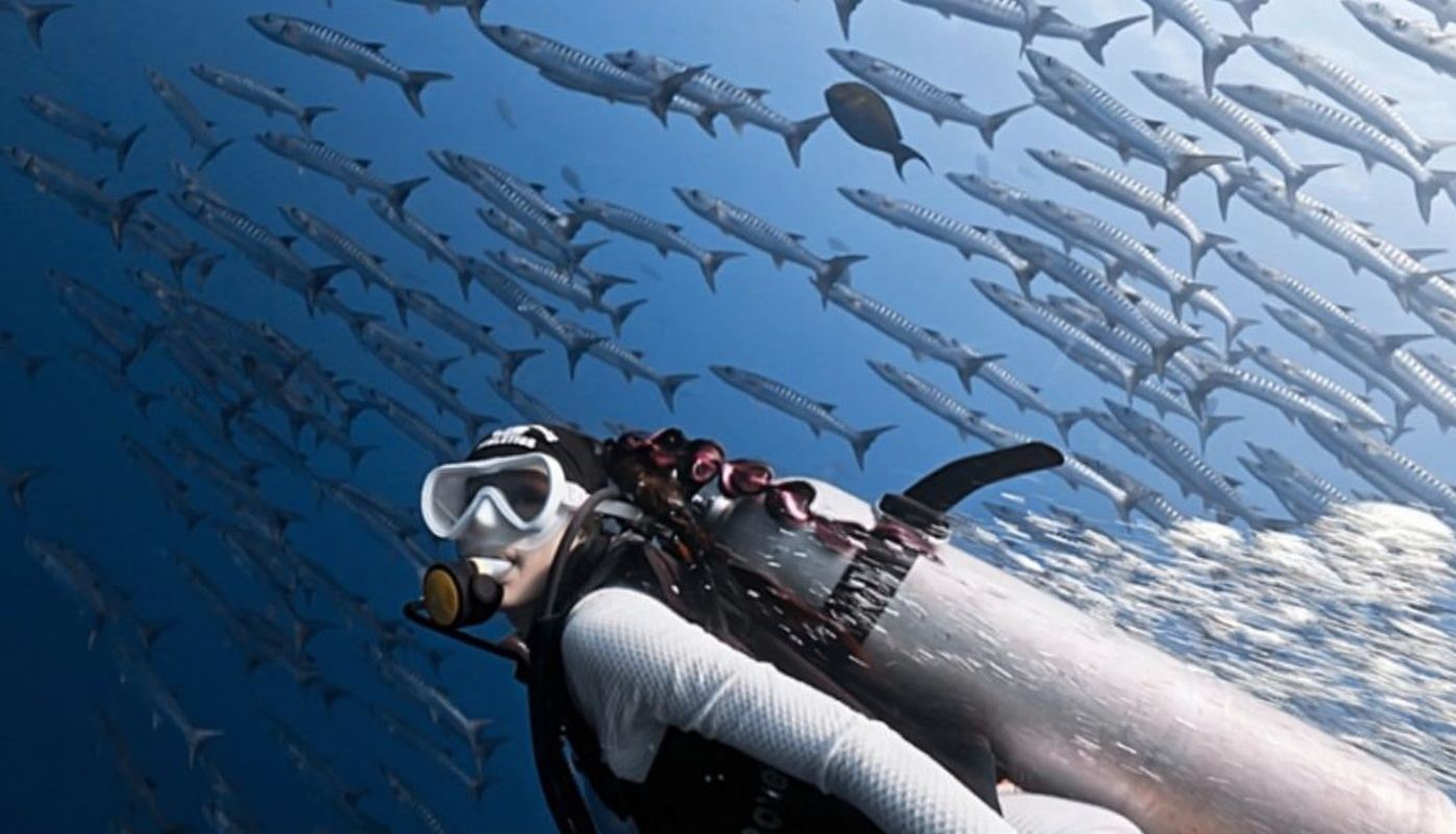 馬來西亞仙本那琥珀假期潛水中心潛水考證水肺OW考證/AOW考證2天【潛水考證+小班教學+多潛點可選】