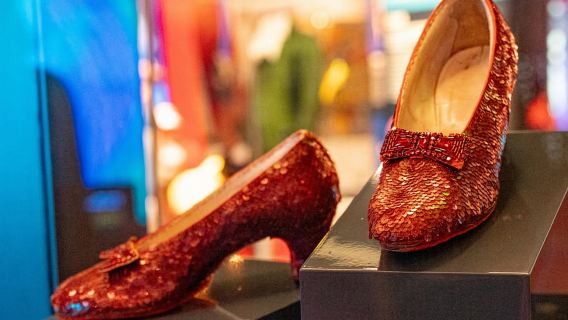 DC: Smithsonian Highlights Walking Tour with Air and Space