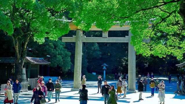 Tokyo: Meiji Shrine Cultural Walking Tour