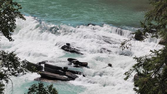 5 horas de rafting en el río Fraser en el Parque Nacional Jasper