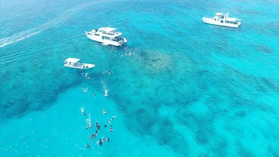 沖縄  NEWS那覇店