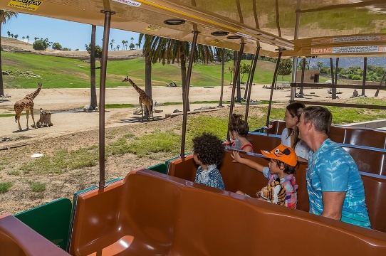 Tiket Pass 2 Kunjungan Kebun Binatang dan Taman Safari San Diego