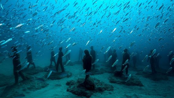 Museo Atlantico for non-certified divers