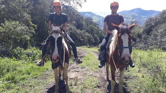 2 Hours Small-Group Horseback Riding Experience in Banos