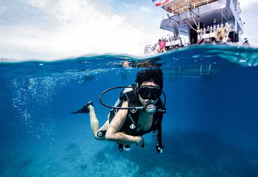 Koh Samui and Koh Tao Deep Diving Discovery Divers Experience Guide