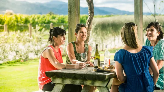 Tour di un giorno intero tra i viticoltori di Marlborough