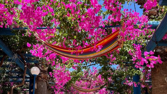 PRIVATE TOUR-Kourtaliotiko Gorge-Rethimno-Preveli Beach