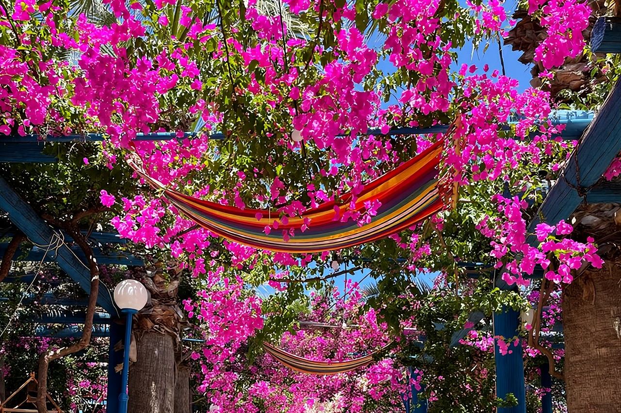 PRIVATE TOUR-Kourtaliotiko Gorge-Rethimno-Preveli Beach