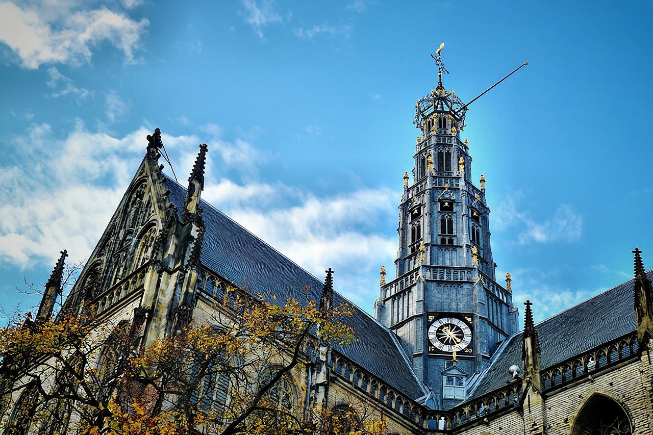 Best Highlights of The Hague with a local