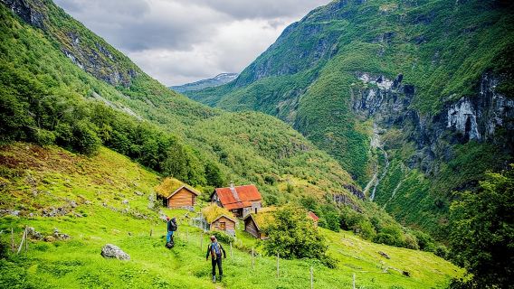 Perjalanan Sehari Penuh Berpandu Sendiri Oslo Ke Bergen dengan Kereta Api Flåm dan Pelayaran Fjord