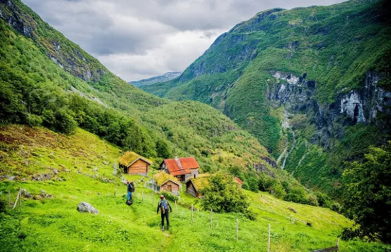 奧斯陸至卑爾根自助一日遊連弗洛姆鐵路及峽灣郵輪之旅