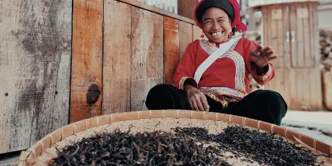 【2-8人純玩拼小團】普洱景邁山翁基、糯幹古寨+古茶園一日遊