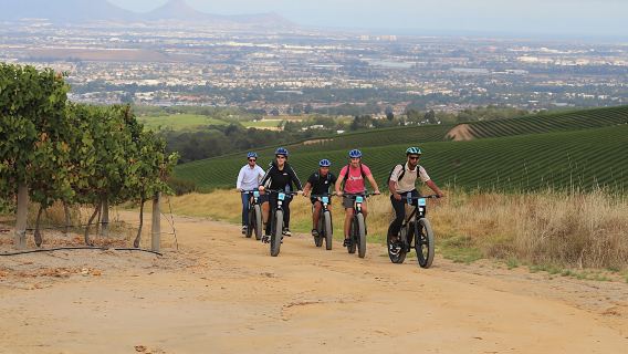 Cape TownTours