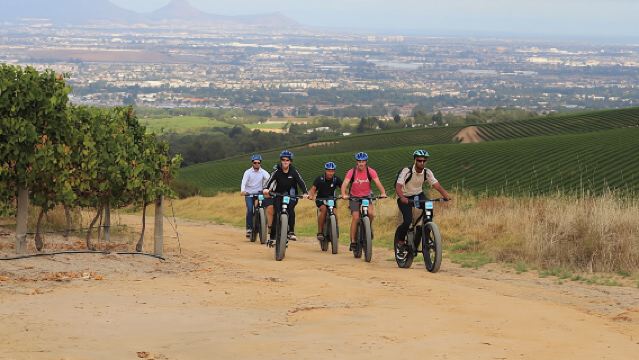 E-Bike Cape Winelands Half Day Tour from Cape Town