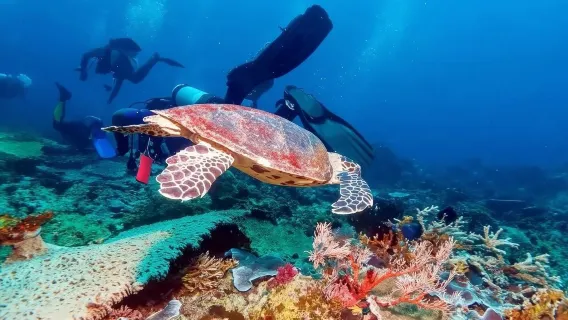 Indonesia + Lombok + Gili Islands one-day tour@