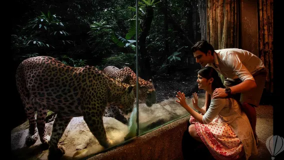 Singapore Private Charter 1-Day Tour (Full-City Coverage, Unlimited Attractions, Bilingual Driver)