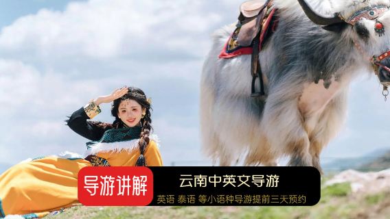 大理麗江香格里拉西雙版納中文導遊/英文泰語，韓語導遊服務