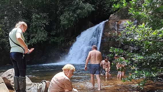 Viaggio nella foresta pluviale di Sinharaja