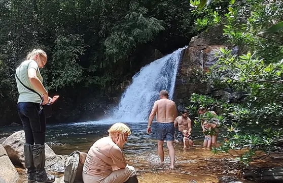 辛哈拉加雨林之旅