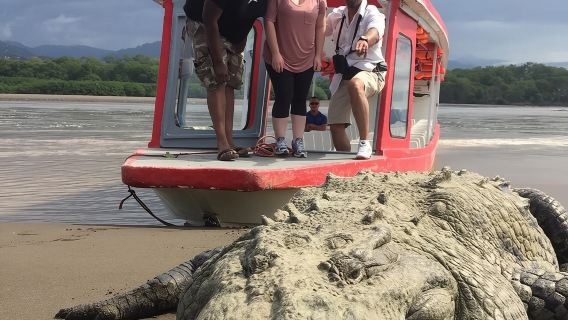 Crocodile Man Tour HET ORIGINEEL