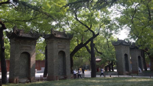 西安博物院+館內講解+千古情一日遊/酒店接送【2-6人小團】