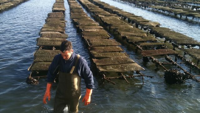  4 Stops | 3 Islands & Ria Formosa Natural Park - From Faro