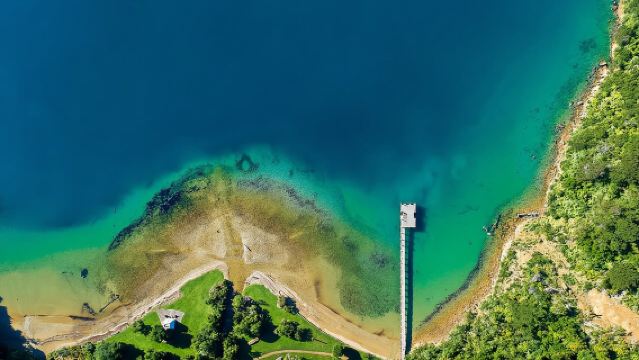 Captain Cook and Dolphin Cruise