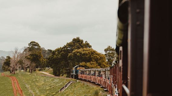 Excursion d'une journée à Melbourne avec le Puffing Billy Steam Train et l'île aux pingouins de Phillip (en anglais)