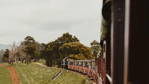 Melbourne Puffing Billy Steam Train + Phillip Island Penguin Parade 1-day tour [English-speaking group]