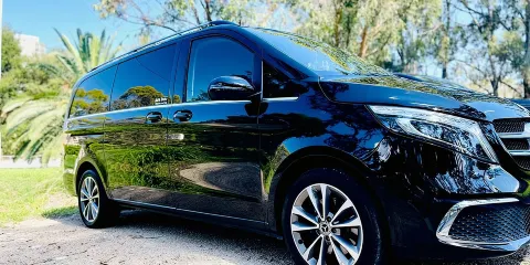 私人豪華藍山之旅連野生動物觀賞及郵輪河遊