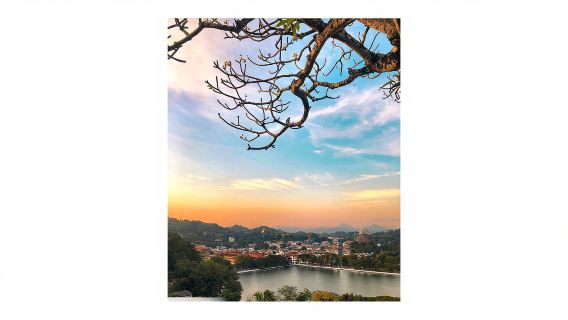 Tur Sehari Berpemandu dari Kandy ke Panti Asuhan Pinnawala dan Ambuluwawa