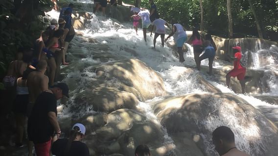 Falmouth: Dunn's River Falls, Blue Hole, and Zipline Tour