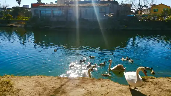 French Riviera's Jewels - E-Bike Tour Antibes - Saint-Paul