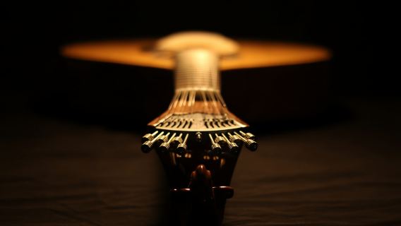 Lisbon: Chuyến tham quan Fado Vadio với món Tapas Bồ Đào Nha