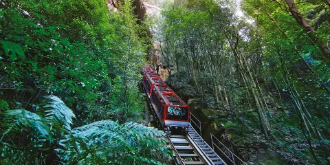 藍山、藍山絕景世界遊樂設施及悉尼動物園之旅(悉尼出發)