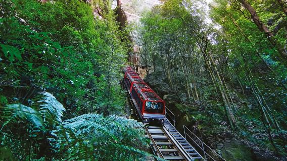 Kelompok Kecil Blue Mountain, Dunia Pemandangan, Satwa Liar, Air Terjun