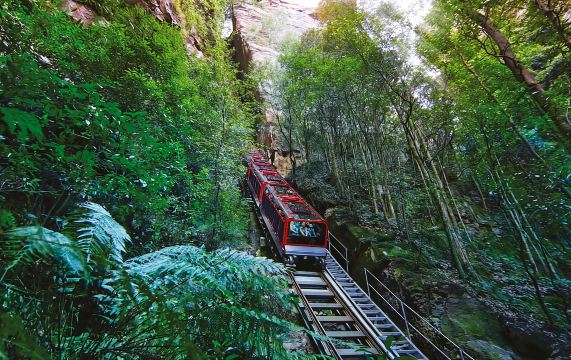 From Sydney: Blue Mountains, Scenic Railway, & Sydney Zoo