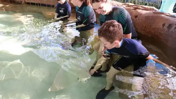 Tampa: ZooQuarium- ZooTampa & Florida Aquarium Combo Ticket