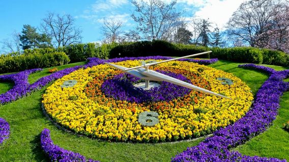 Il meglio del tour della città di Ginevra: area internazionale e città vecchia