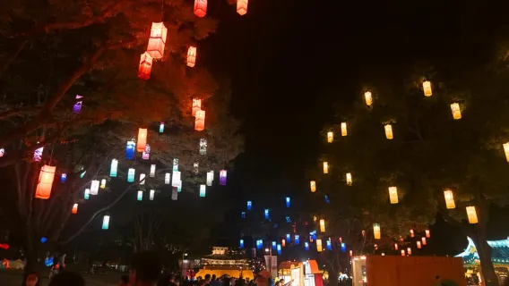 釜山：秋季晉州南江燈籠節和粉紅穆利