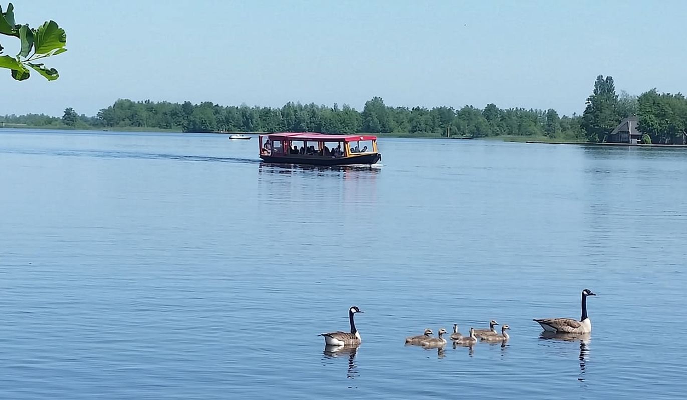 Giethoorn: crociera sul canale Villaggio e lago di Giethoorn